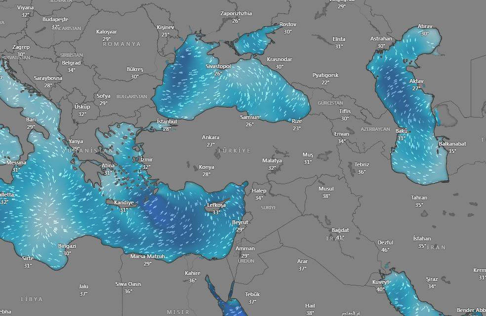Doğu Karadeniz'de ‘sağanak’ alarmı: 4 il için sarı kodlu uyarı - Resim: 11